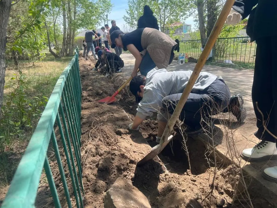 “НОГООН СЭТГЭЛ” САЙН ҮЙЛСИЙН АЯН ЗОХИОН БАЙГУУЛЛАА